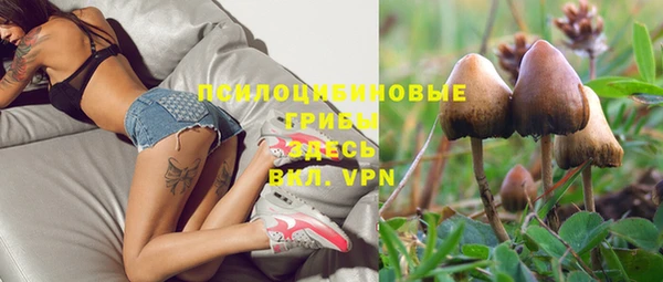 первитин Арсеньев